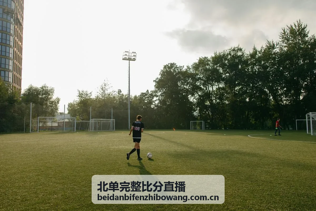 北单完整比分直播进球数区间统计封面